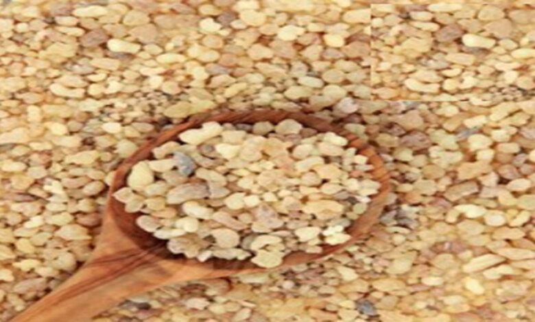 الصمغ العربى | الصمغ الهندي هل هو اللبان الذكر وما هي فوائده واستخداماته وطريقة استخدامه؟ الصمغ الهندي