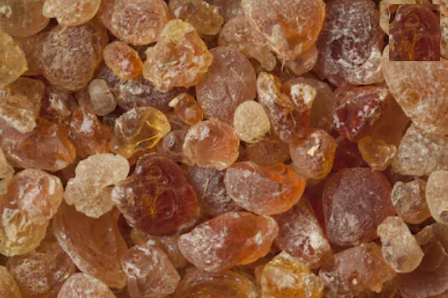 صمغ سوداني عربي يقضي علي دهون البطن خلال فترة وجيزة