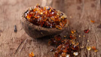 الصمغ العربى | الصمغ العربي للقولون العصبي وما هي متلازمة القولون العصبي مع الشرح بالتفصيل الصمغ العربي للقولون العصبي