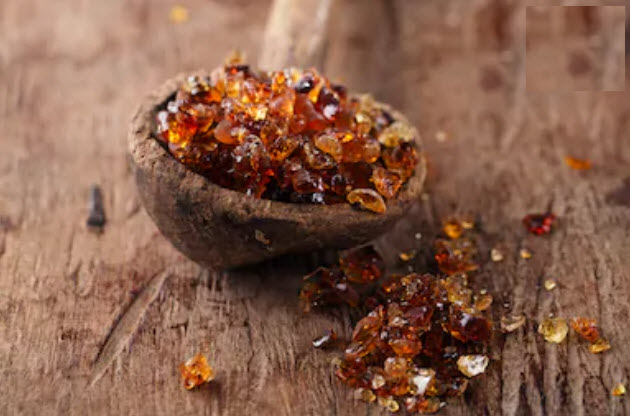 الصمغ العربي للقولون العصبي