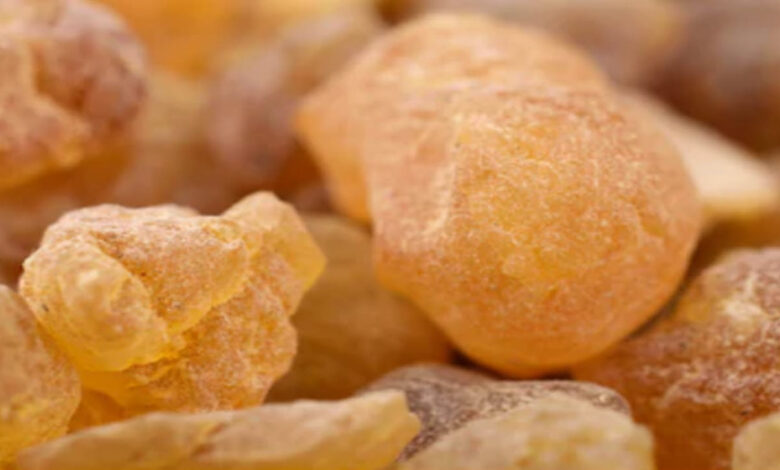 الصمغ العربى | معلومات عن الصمغ العربي للتخسيس السريع وما هي أهم فوائده معلومات عن الصمغ العربي للتخسيس