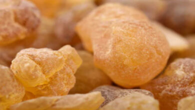 الصمغ العربى | وصفة الصمغ العربي للتخسيس وتنحيف الجسم بالتفصيل وصفة الصمغ العربي للتخسيس