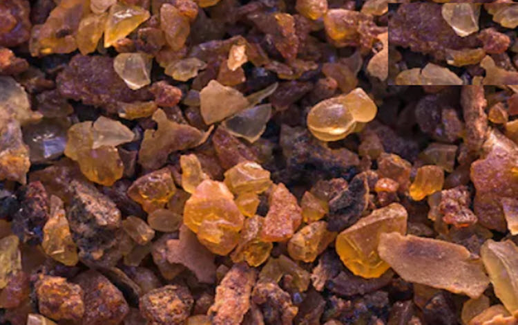 فوائد الصمغ العربي للتنحيف وإنقاص دهون الجسم