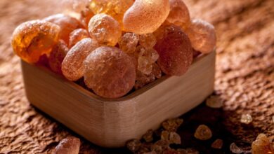 الصمغ العربى | تجربتي مع الصمغ العربي للتنحيف وخسارة دهون الجسم تجربتي مع الصمغ العربي للتنحيف