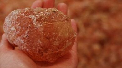 الصمغ العربى | كيفية استعمال الصمغ العربي للتخسيس وتنحيف الجسم بالتفصيل كيفية استعمال الصمغ العربي للتخسيس