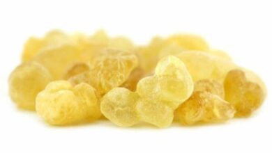 الصمغ العربى | كيفية استخدام الصمغ العربي للتخسيس بالطريقة الصحيحة كيفية استخدام الصمغ العربي للتخسيس